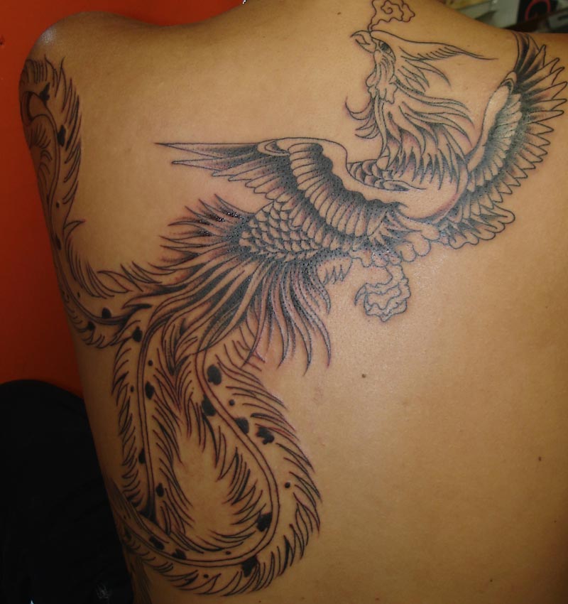 This full back black and white phoenix tattoo was outlined freehand and