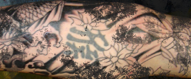 Black & White Koi With Cherry Blossoms