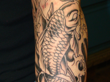 Black & White Koi With Cherry Blossoms